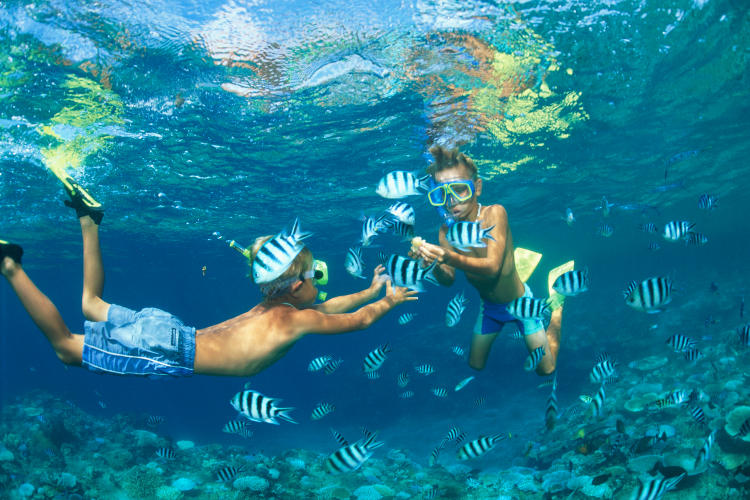 attraction-Beach Diving & Snorkeling 1.jpg